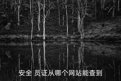 安全 員證從哪個(gè)網(wǎng)站能查到