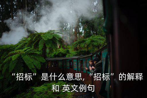 招投標英文,工程招投標英文