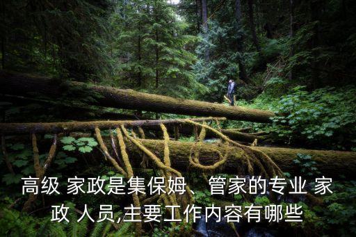 高級(jí) 家政是集保姆、管家的專業(yè) 家政 人員,主要工作內(nèi)容有哪些