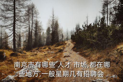 南京人才市場(chǎng)