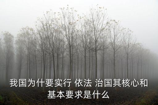 我國為什要實行 依法 治國其核心和基本要求是什么
