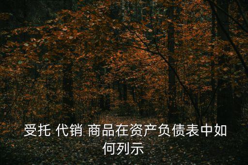  受托 代銷 商品在資產(chǎn)負(fù)債表中如何列示