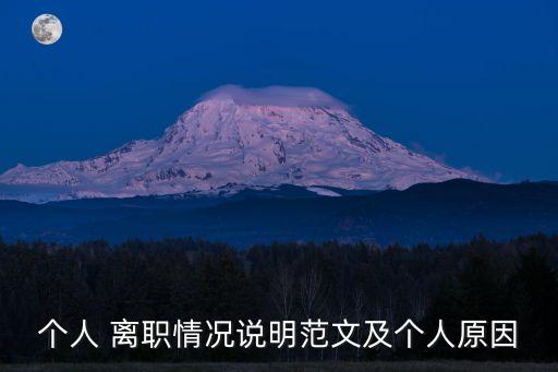 個人 離職情況說明范文及個人原因