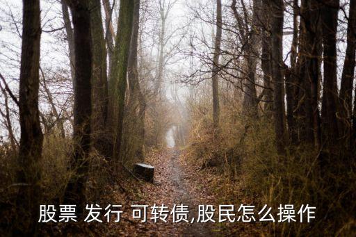 發(fā)行可轉(zhuǎn)債