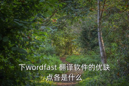 翻譯應(yīng)用程序的好處,應(yīng)用程序的好處和壞處
