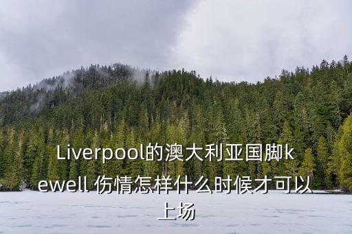 Liverpool的澳大利亞國(guó)腳kewell 傷情怎樣什么時(shí)候才可以上場(chǎng)