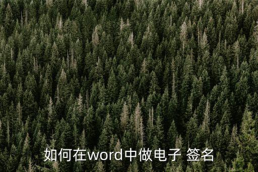 手寫簽名電子版怎么做