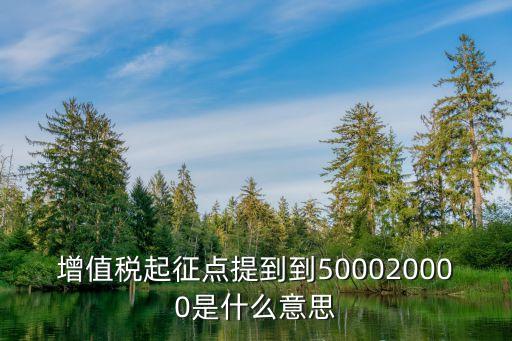雙定戶是什么意思,定期定額戶系統(tǒng)會自動申報嗎
