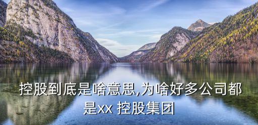  控股到底是啥意思,為啥好多公司都是xx 控股集團(tuán)