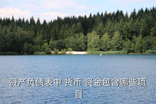 貨幣資金包括