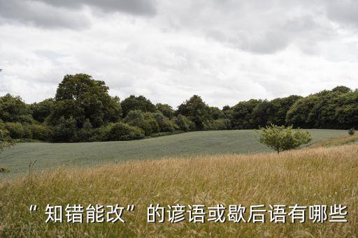 知錯(cuò)就改善莫大焉