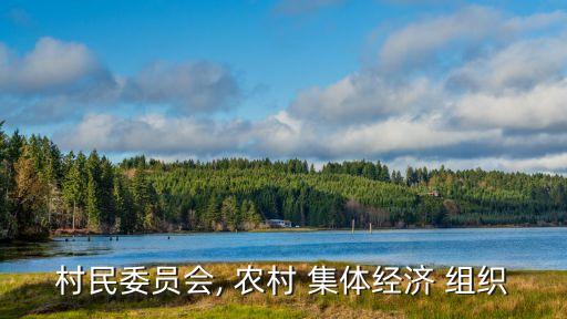 村民委員會, 農(nóng)村 集體經(jīng)濟 組織