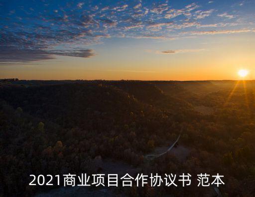 2021商業(yè)項目合作協(xié)議書 范本