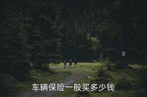 車損險(xiǎn)一般多少錢,6年的小轎車車損險(xiǎn)一般多少錢