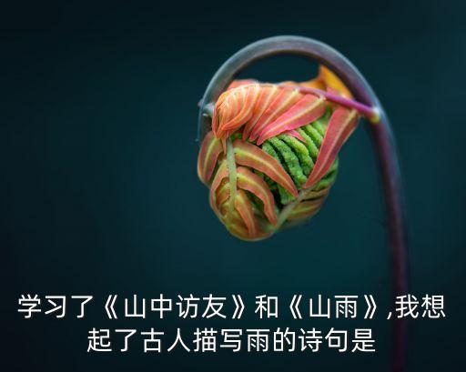 學(xué)習(xí)了《山中訪友》和《山雨》,我想起了古人描寫雨的詩句是