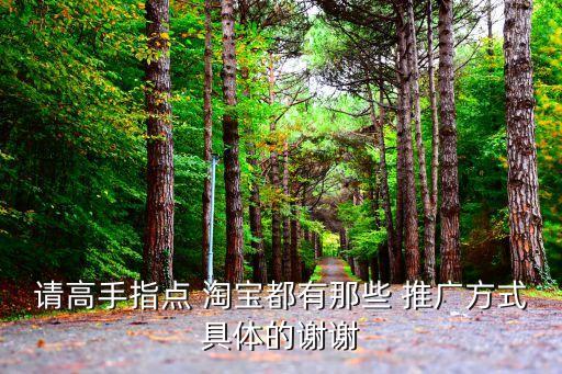 淘寶搜索引擎推廣,簡述淘寶搜索引擎的工作原理