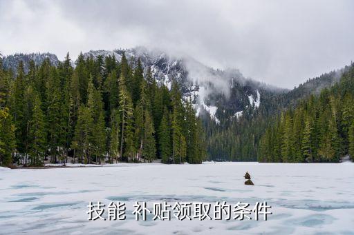 技能提升補貼