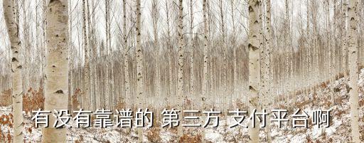 有沒(méi)有靠譜的 第三方 支付平臺(tái)啊