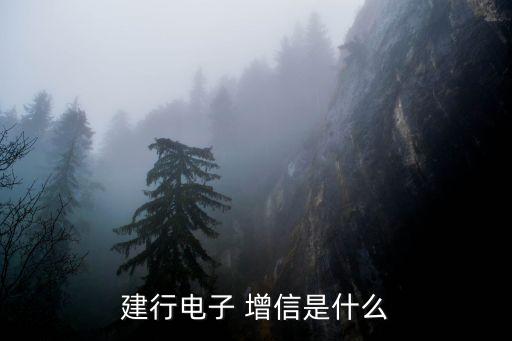 建行電子 增信是什么