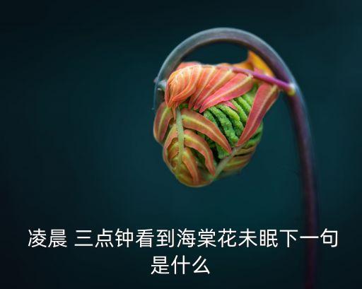凌晨三點(diǎn)鐘