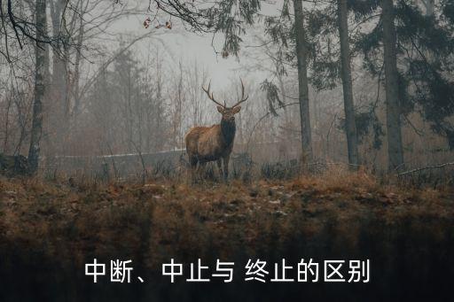 終止的意思,止言先世避秦時(shí)亂來(lái)此中止的意思