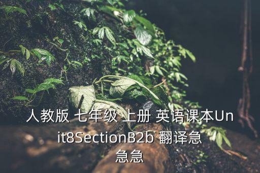 七年級(jí)上冊(cè)英語(yǔ)單詞翻譯