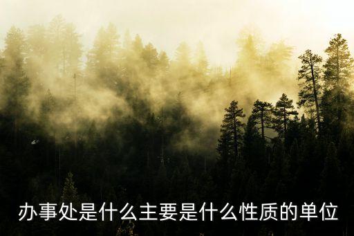  辦事處是什么主要是什么性質(zhì)的單位