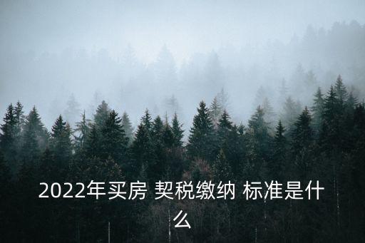 購房契稅2022標準