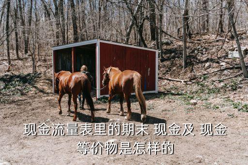  現(xiàn)金流量表里的期末 現(xiàn)金及 現(xiàn)金 等價物是怎樣的