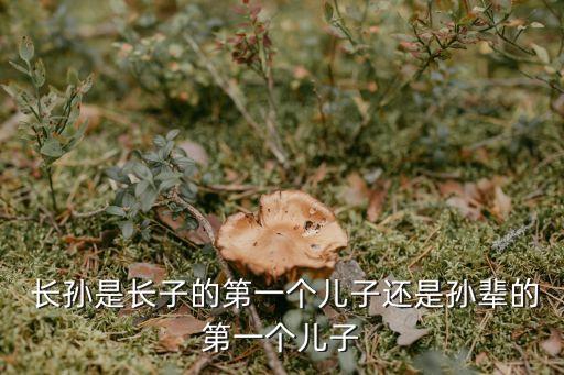  長孫是長子的第一個(gè)兒子還是孫輩的第一個(gè)兒子