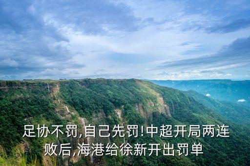 足協(xié)追加處罰