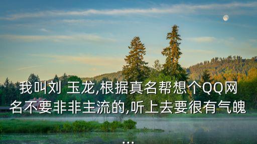 我叫劉 玉龍,根據(jù)真名幫想個QQ網(wǎng)名不要非非主流的,聽上去要很有氣魄...
