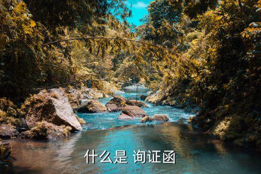 什么是 詢證函