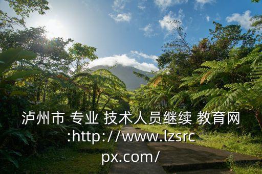 瀘州市 專業(yè) 技術(shù)人員繼續(xù) 教育網(wǎng):http://www.lzsrcpx.com/