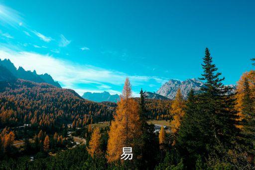 車險(xiǎn)易