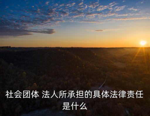 社會(huì)團(tuán)體 法人所承擔(dān)的具體法律責(zé)任是什么