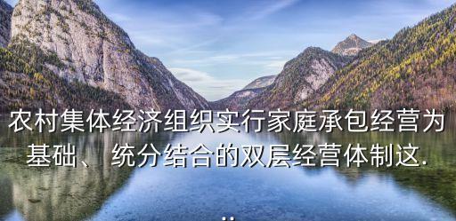 統(tǒng)分結(jié)合,國(guó)家鞏固和完善以什么為基礎(chǔ),統(tǒng)分結(jié)合