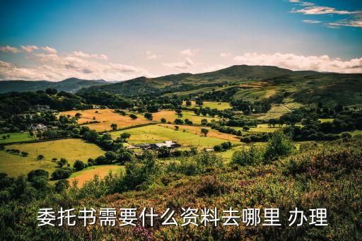 委托書在哪里辦理,個人委托書去哪里公證
