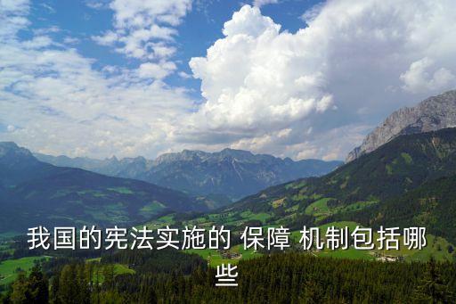 我國的憲法實施的 保障 機制包括哪些