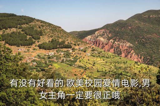 有沒有好看的 歐美校園愛情電影,男女主角一定要很正哦