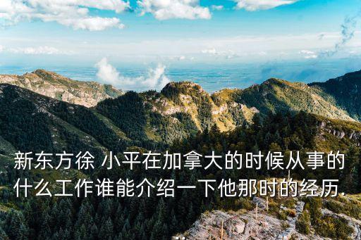 徐小平