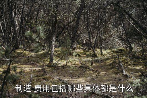 什么是制造費用,車間為什么是制造費用