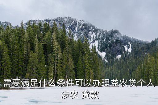 涉農(nóng)貸款