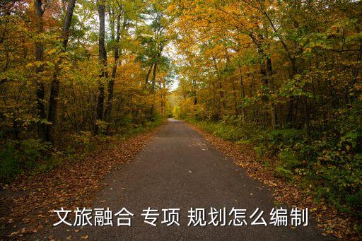 專項規(guī)劃
