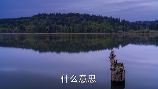 tm什么意思
