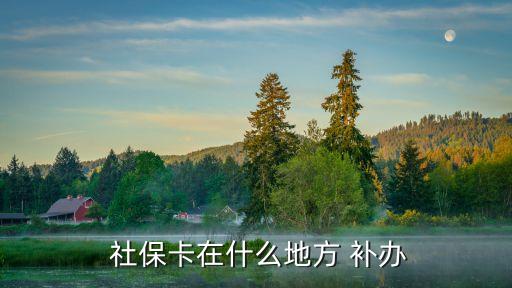  社?？ㄔ谑裁吹胤?補(bǔ)辦