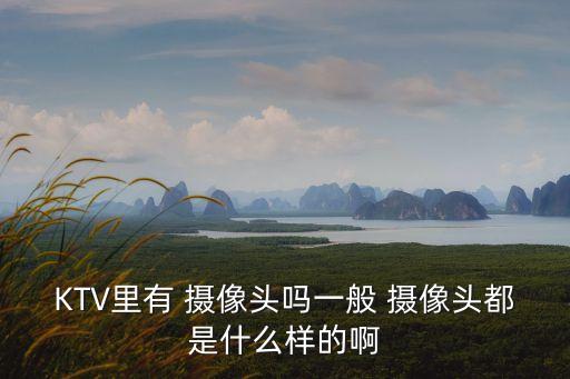 ktv有攝像頭嗎,開(kāi)個(gè)ktv需要多少錢(qián)