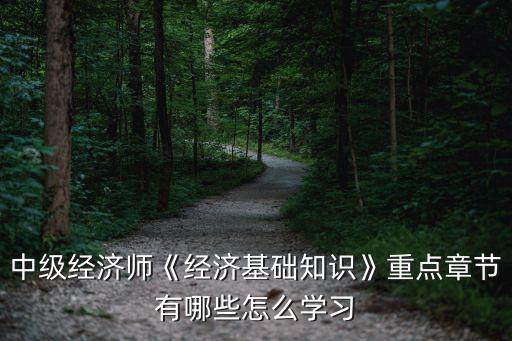 中級(jí)經(jīng)濟(jì)師《經(jīng)濟(jì)基礎(chǔ)知識(shí)》重點(diǎn)章節(jié)有哪些怎么學(xué)習(xí)