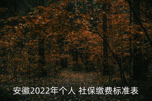 安徽省社保