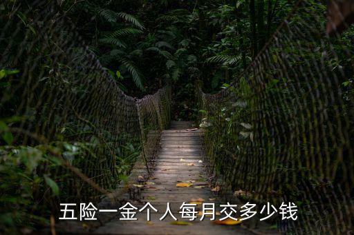  五險一金個人每月交多少錢